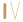 footer icon